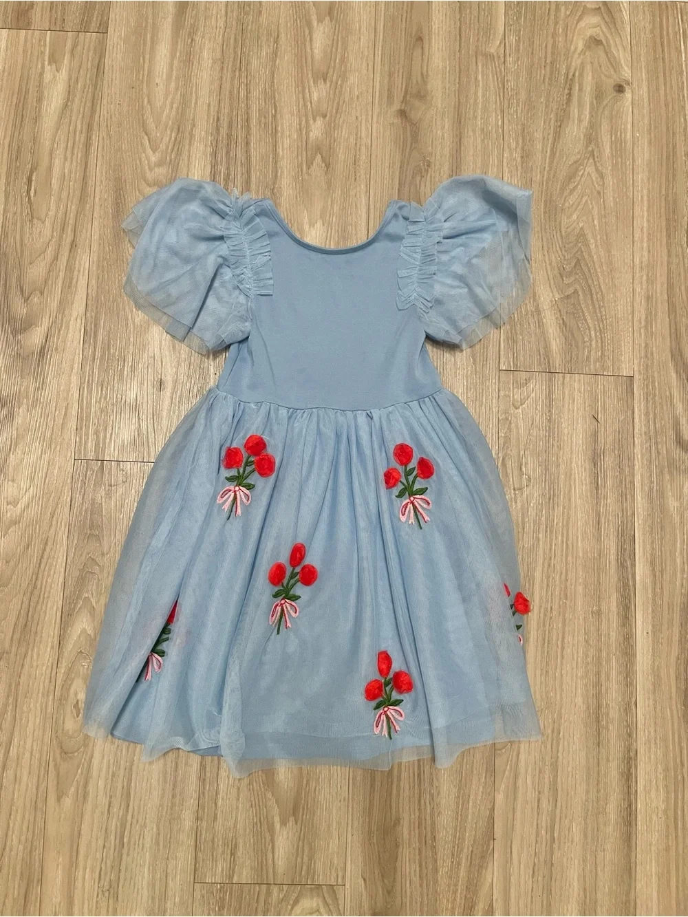 Mini Boden Light Blue Tulle Dress with Red Floral Embroidery